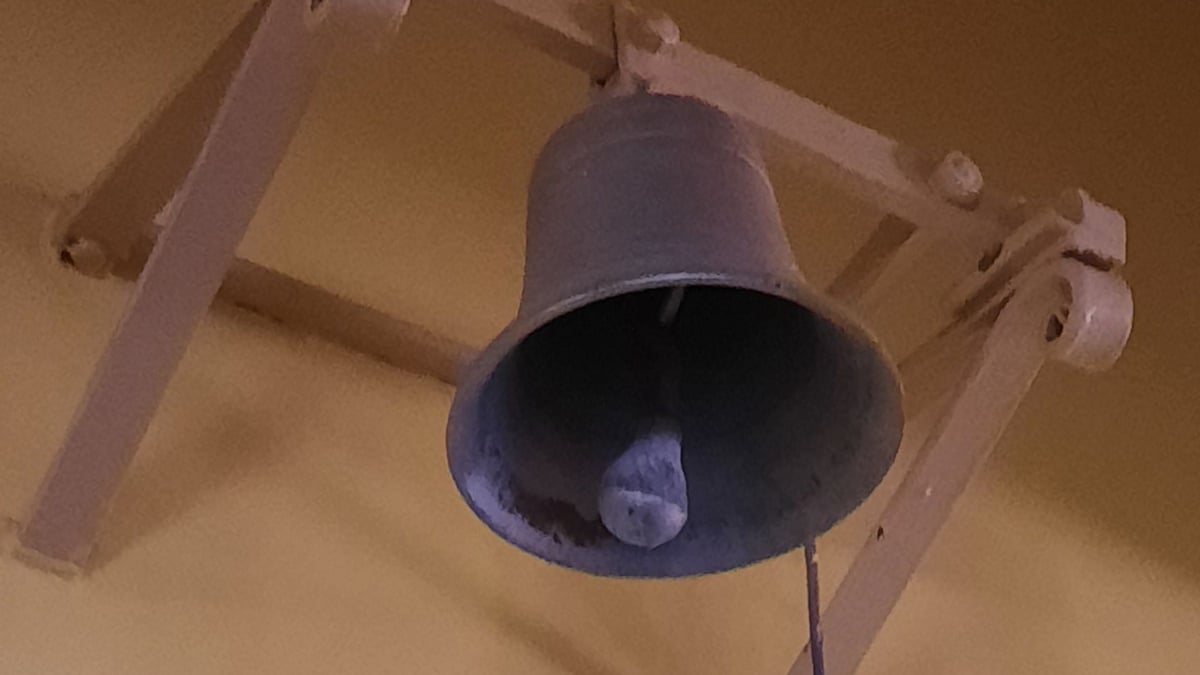 Fotoquelle: Andrea Steglich