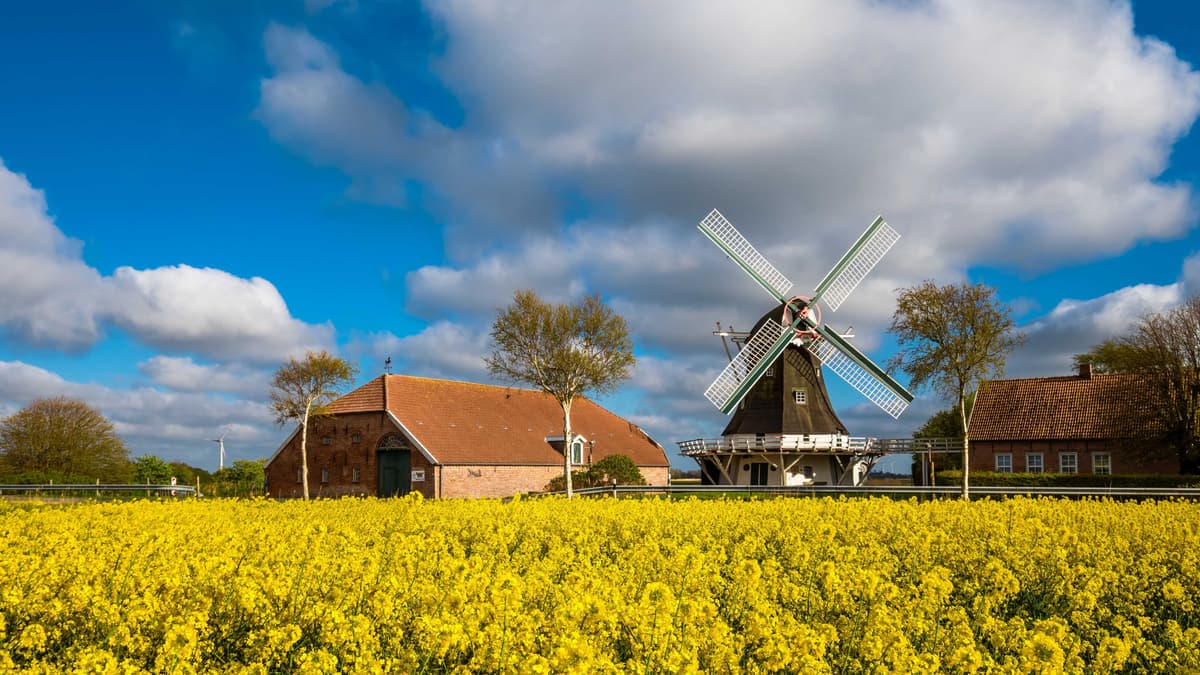 Seriemer Mühle, April 2020
