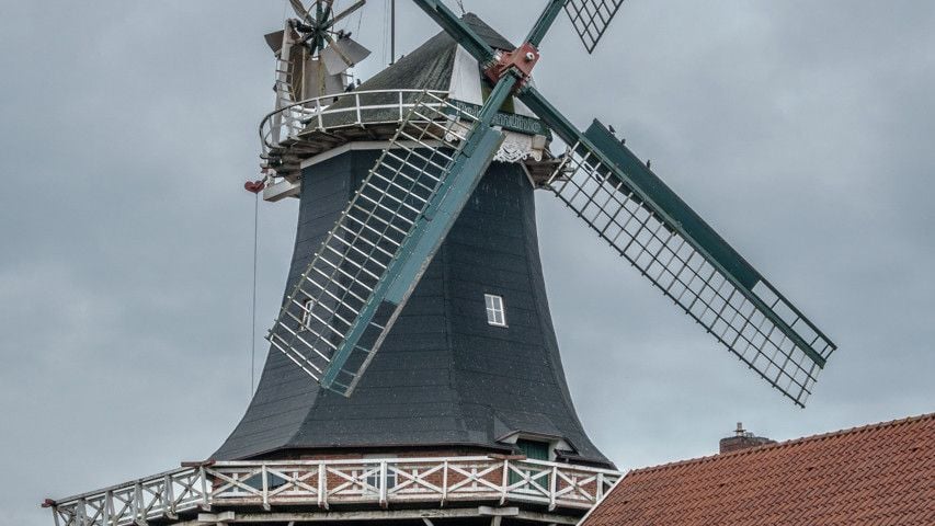 Fotoquelle: Adalbert Oldewurtel und Georg Thewen