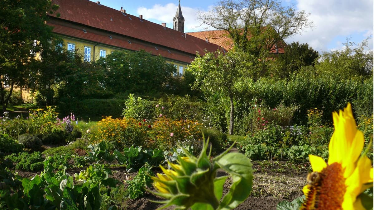 Kloster Mariensee