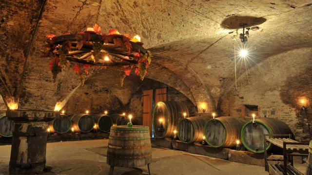 Traben-Trarbacher Unterwelt