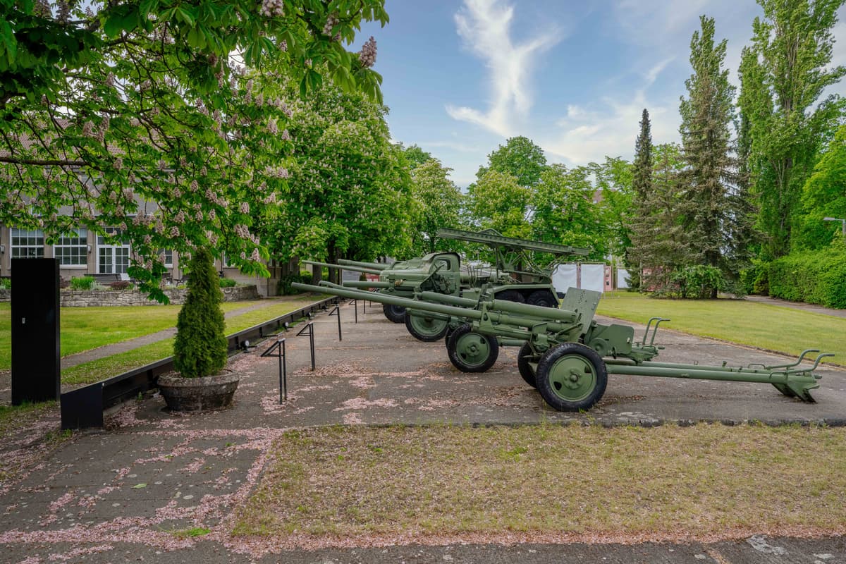 Grosswaffen Essemble im Museumsgarten
