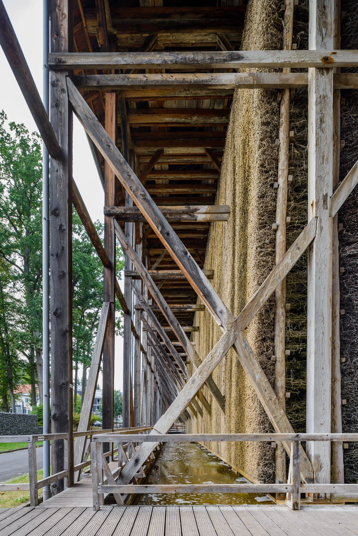 Schwarzdornreisig und Sohlesammelbecken