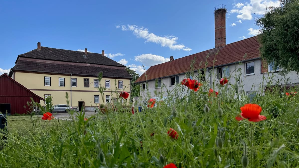Der Hof