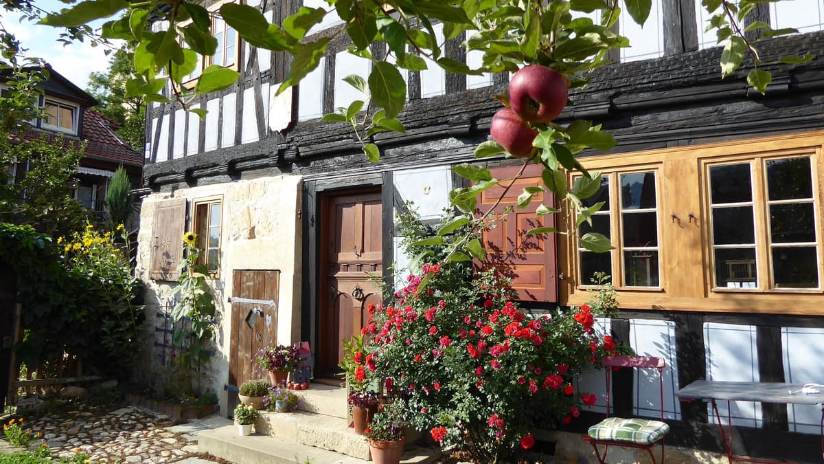 Pagenhäuser Rudolstadt