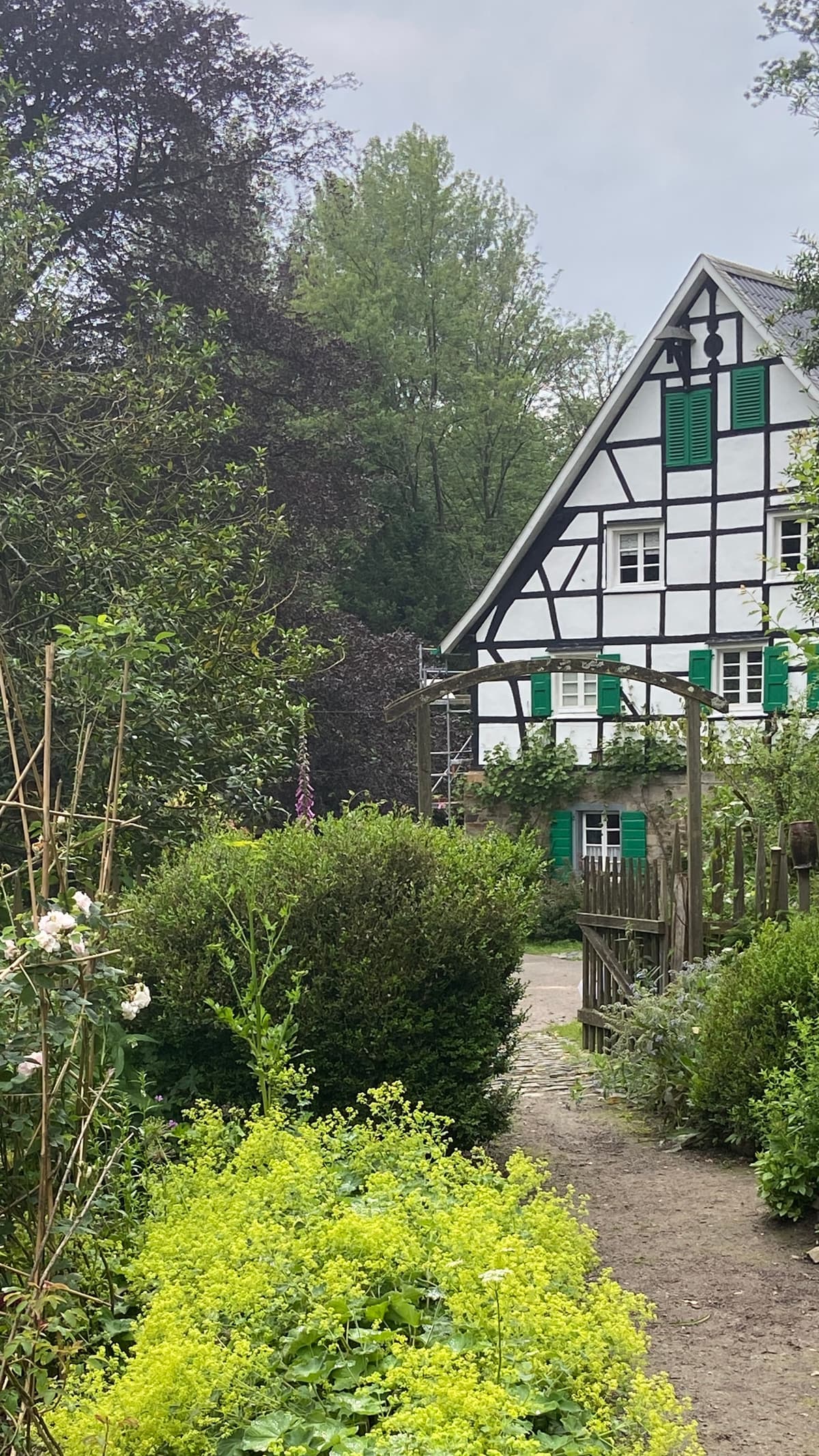 Lambertsmühle im Sommer