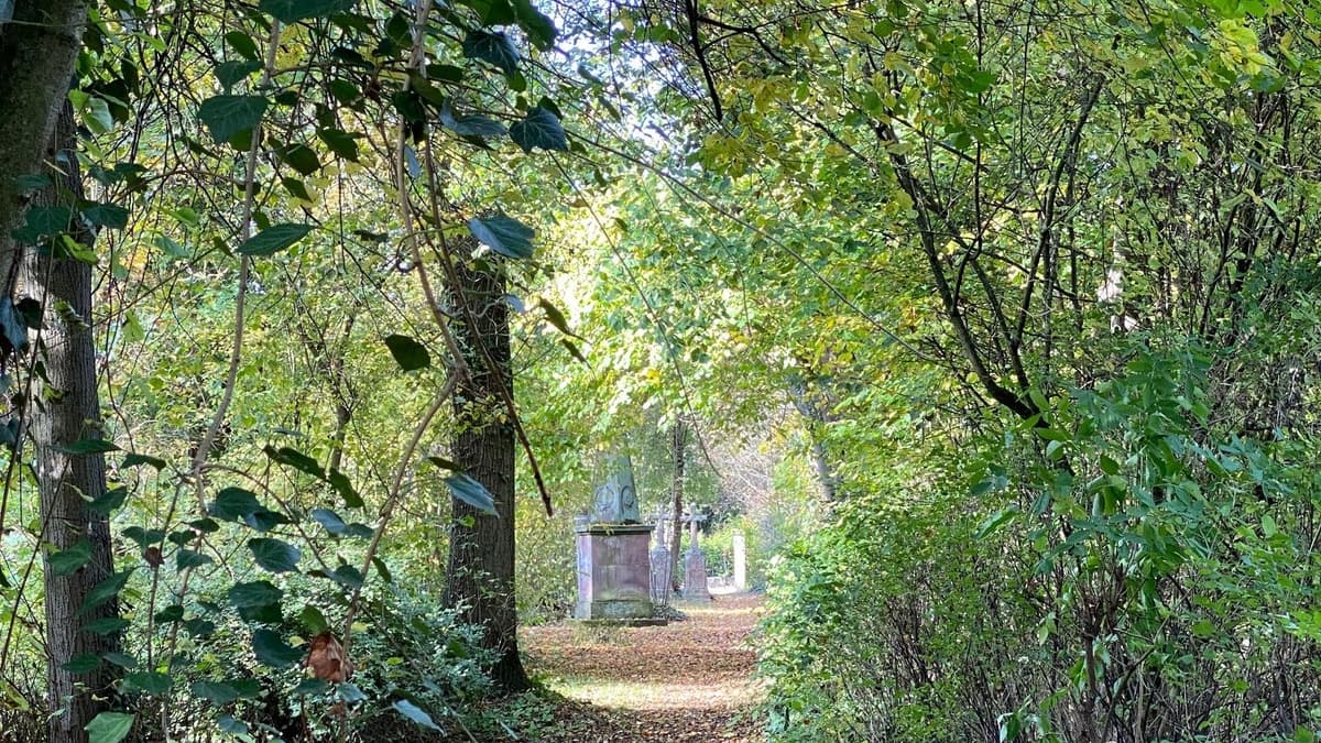 Friedhof 2