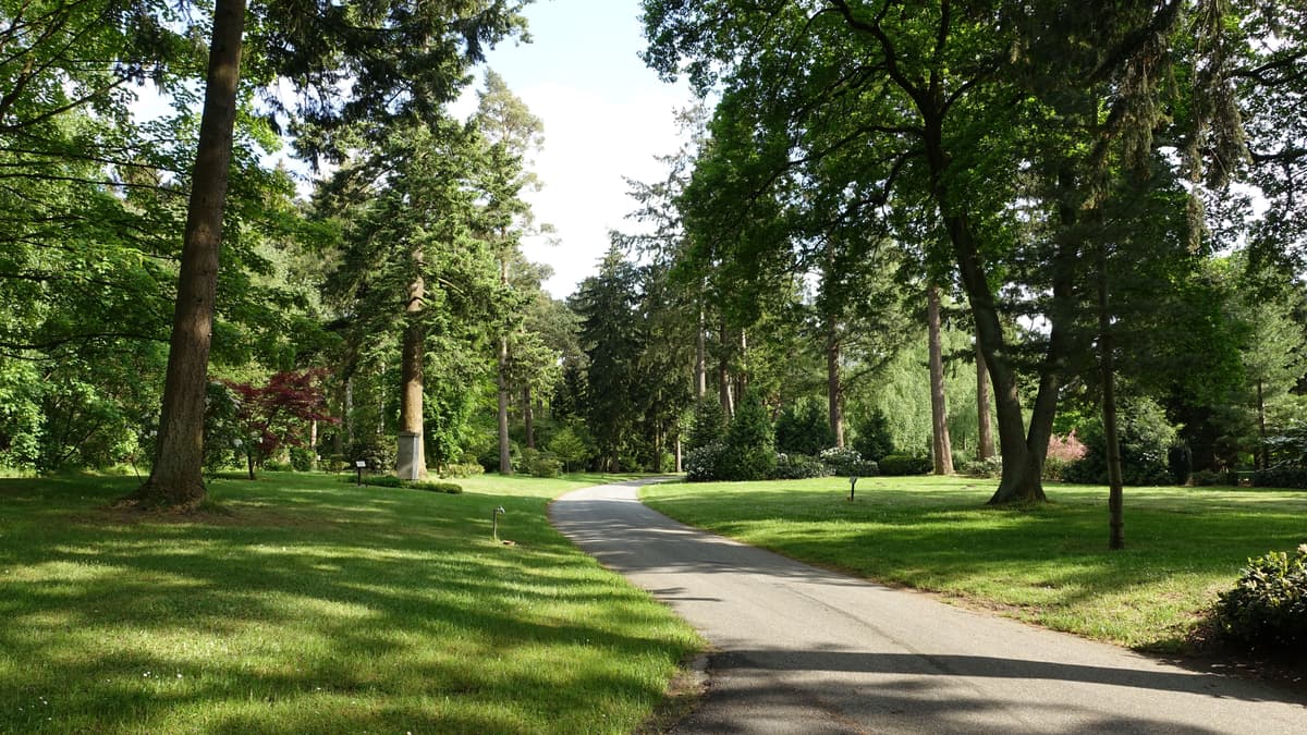 Parkfriedhof