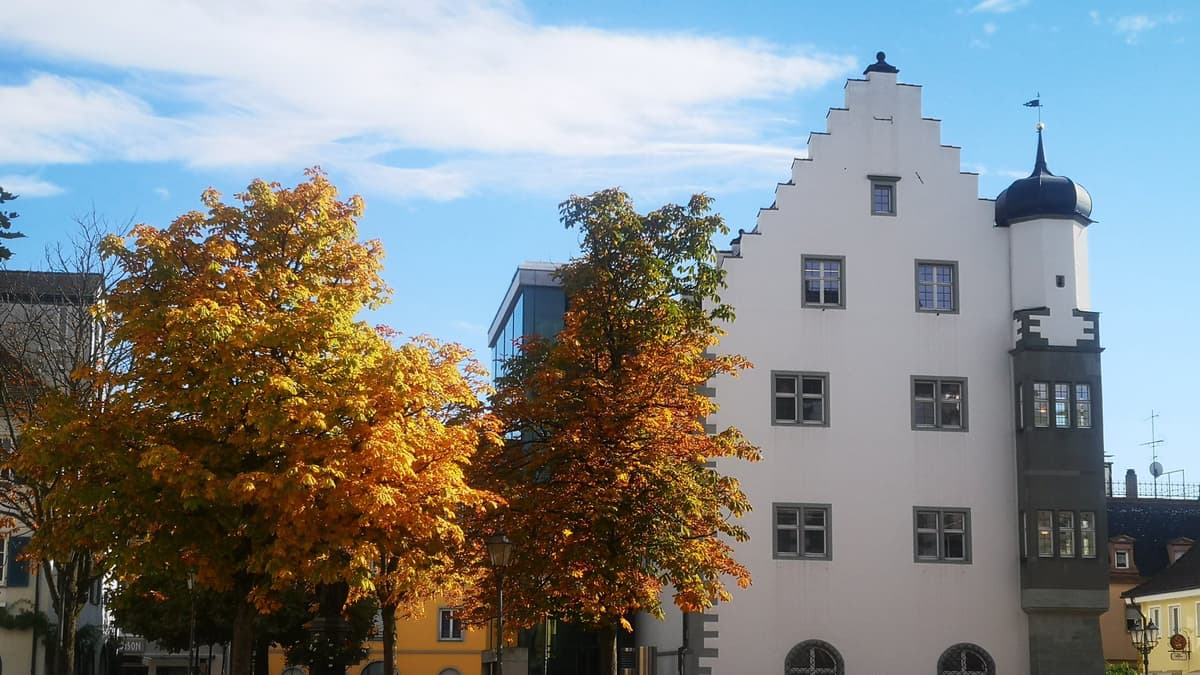 Österreichisches Schößchen