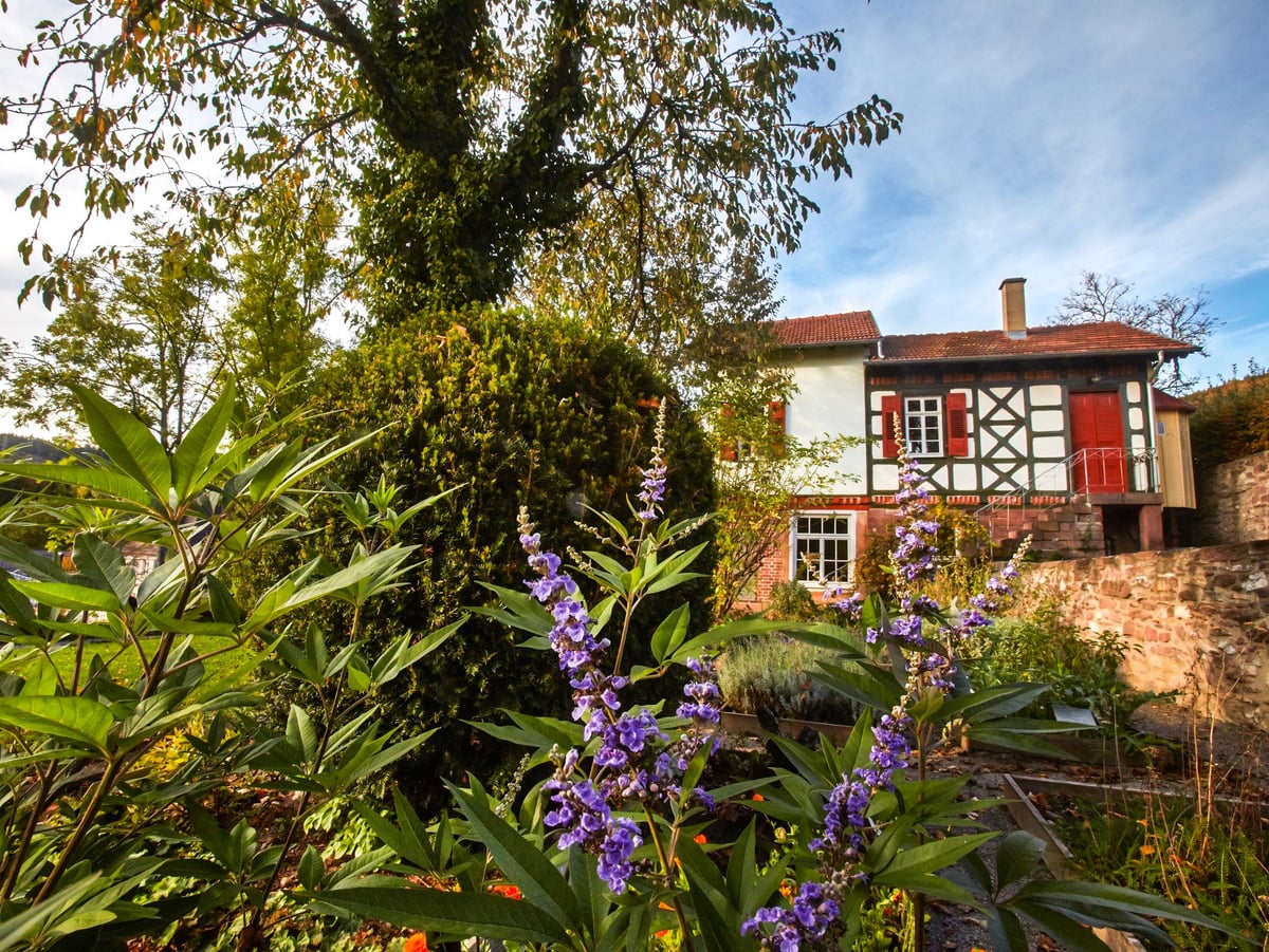 Fotoquelle: Birgit Betzelt