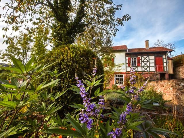 Zeller-Mörike-Garten