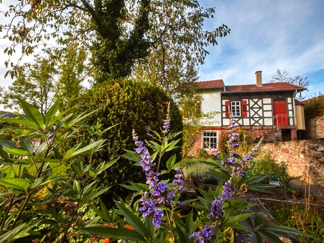 Zeller-Mörike-Garten