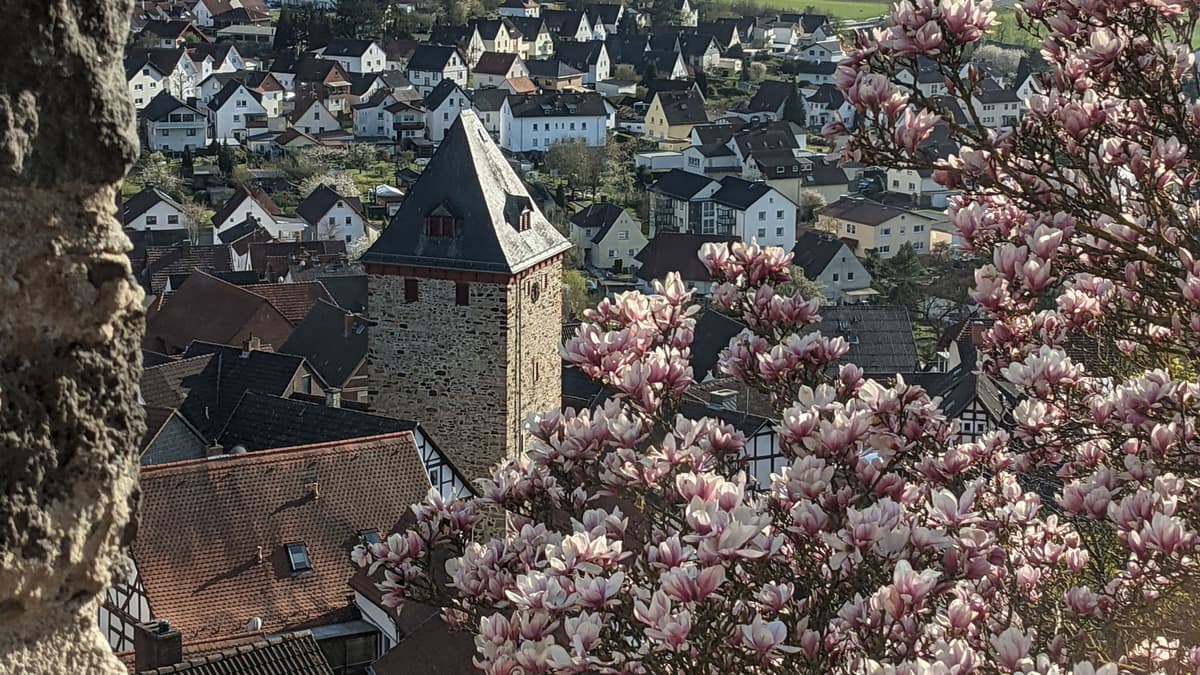 Oberburg Staufenberg. Blick über die historische Altstadt von Staufenberg mit Torturm von 1401