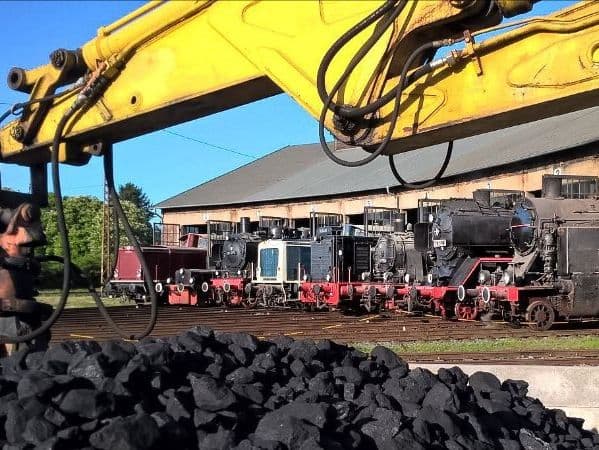 Lokparade im historischen Bahnbetriebswerk Hanau