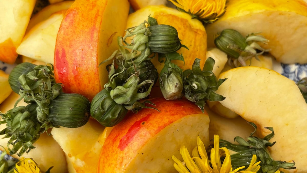 Fotoquelle: Marianne Hofmann