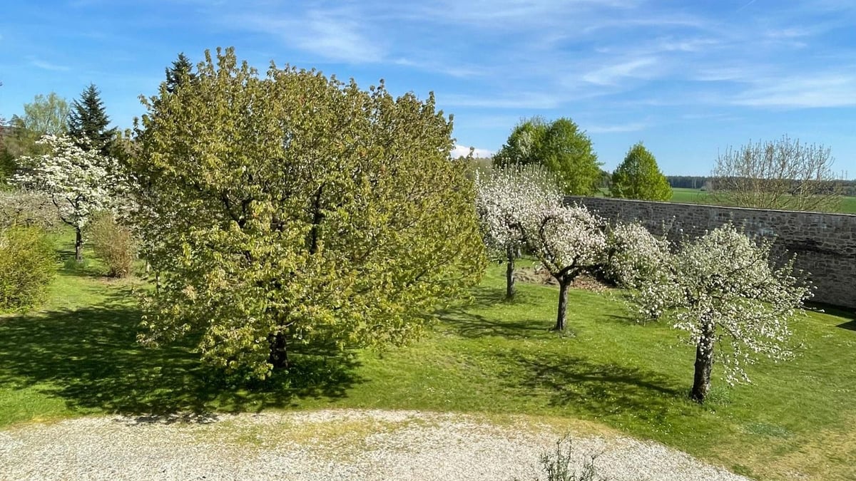 Fotoquelle: Kloster Speinshart