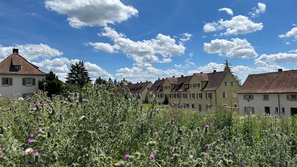 Ausschnitt Ensemble Gartenstadt