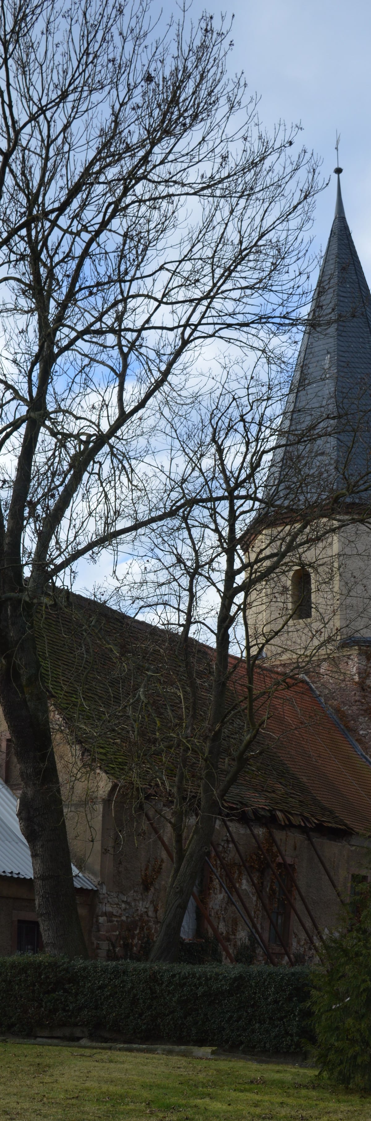 Fotoquelle: S. Richter