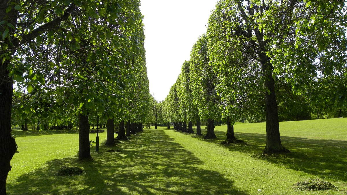 Fotoquelle: Stadt Saalfeld/Saale