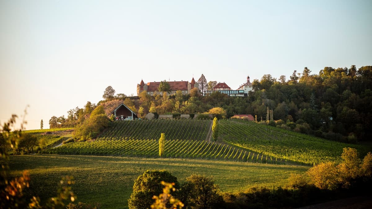 Schloss Frankenberg Umgebung