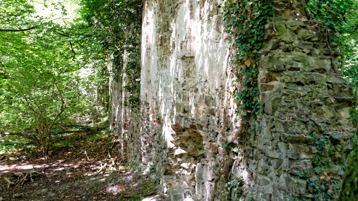 Fotoquelle: Anna Graff