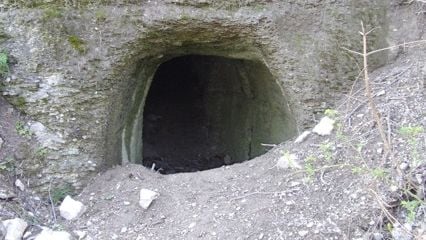 Fotoquelle: Schäfer