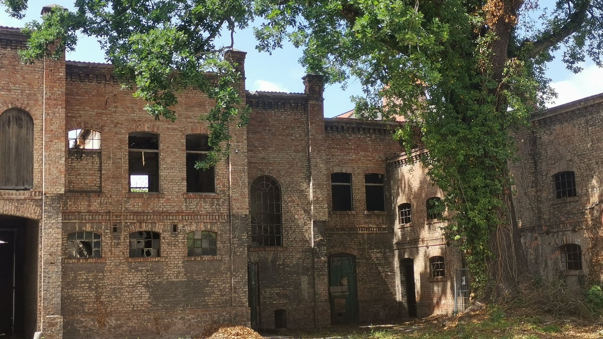 Fotoquelle: Martina Weißenmayer