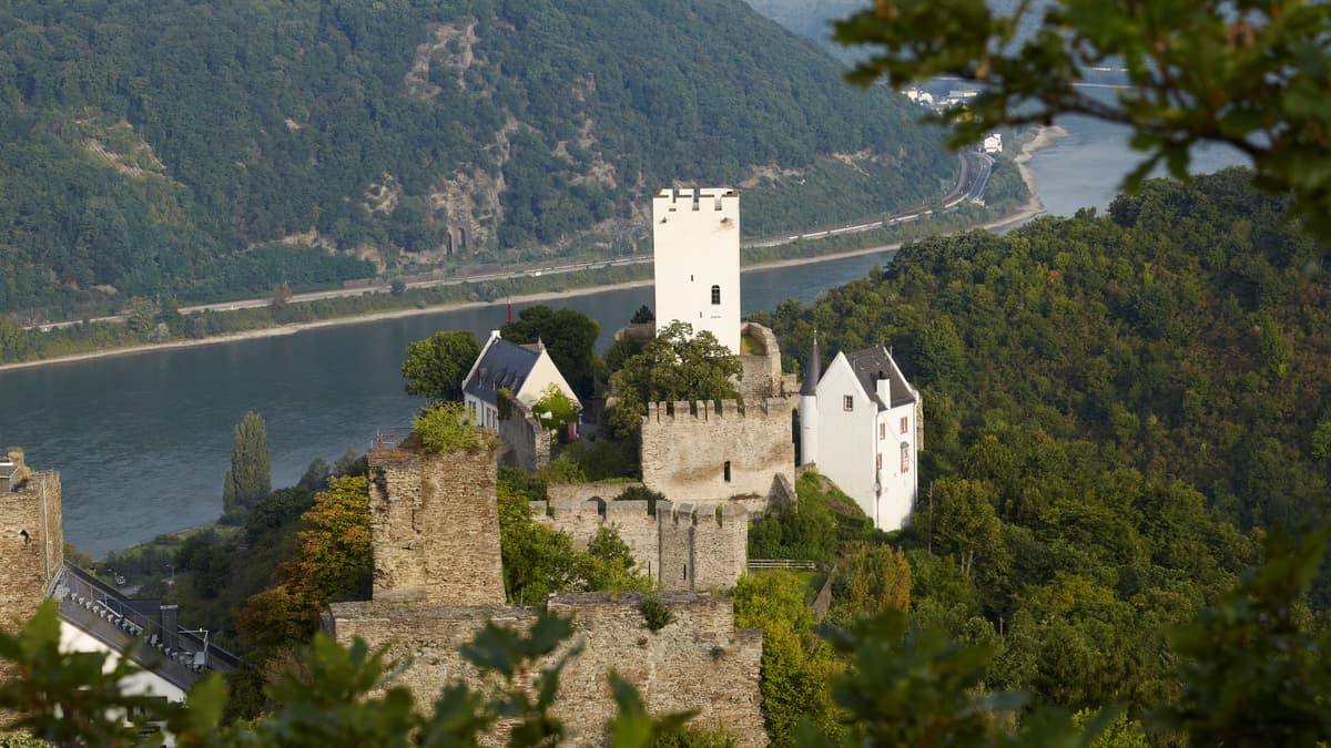 Burg Sterrenberg