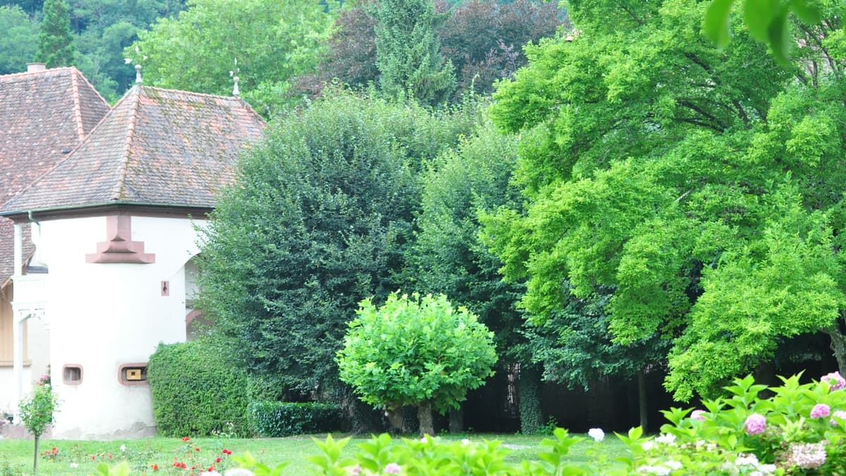 Torhaus und Park