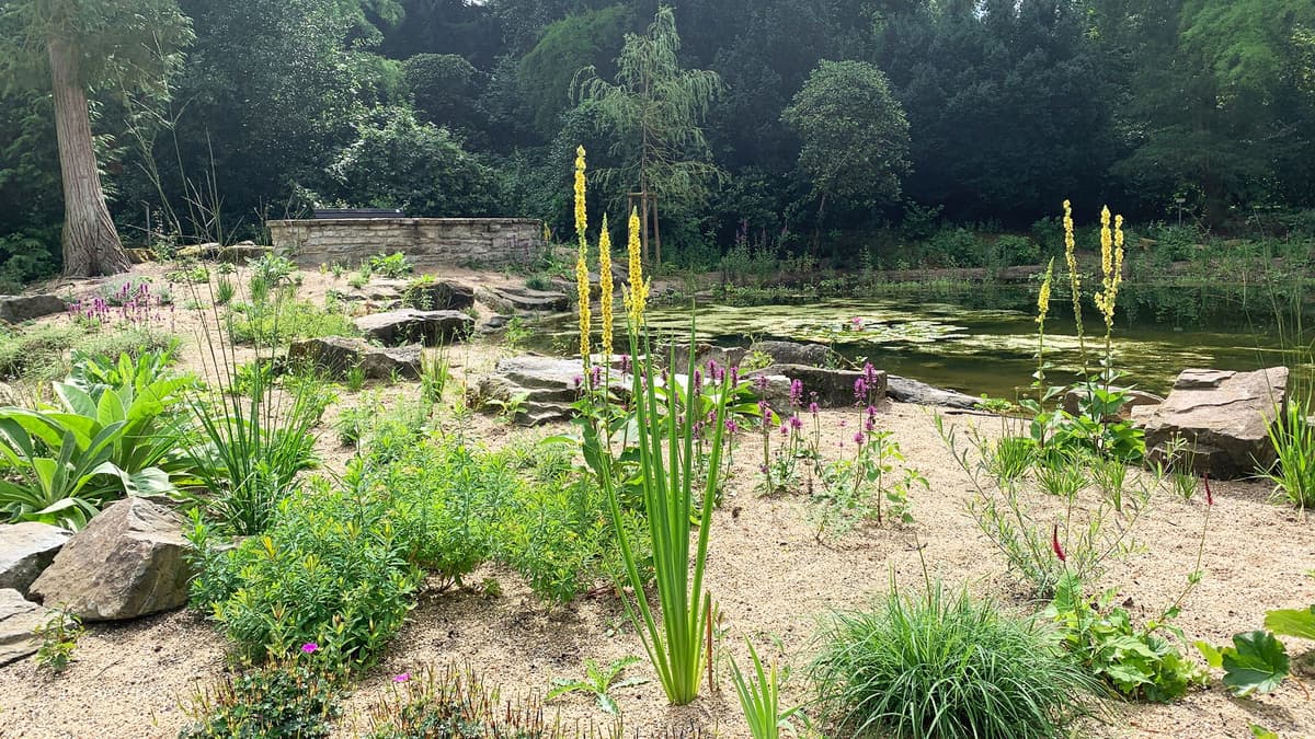 Bürgerpark Osnabrück,Teichanlage, 2023/24 saniert