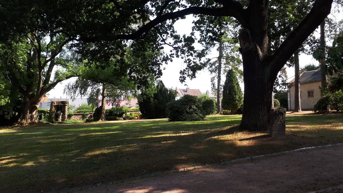 Fotoquelle: André Ulbricht