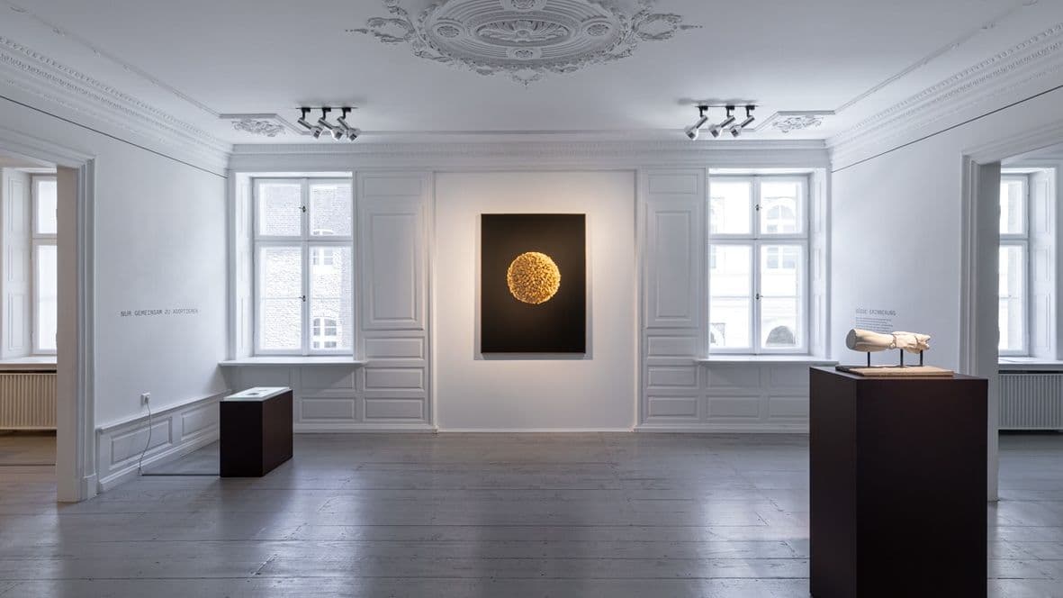 Przemek Dzienis Good Grief