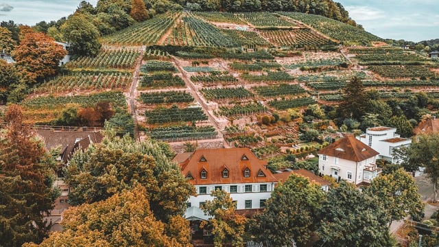 Historische Trockenmauer und Unterstand