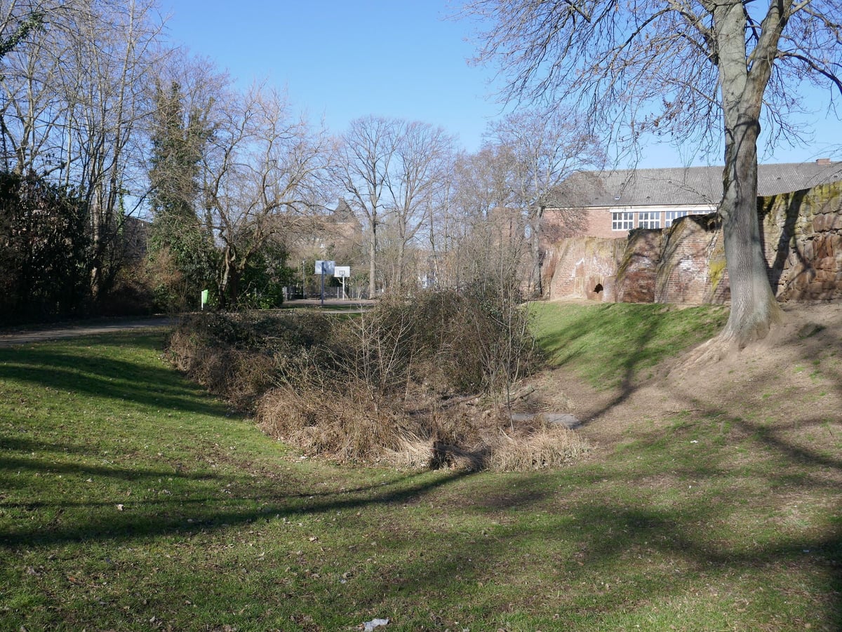 Fotoquelle: UDB Düren, Heike Kussinger-Stankovic