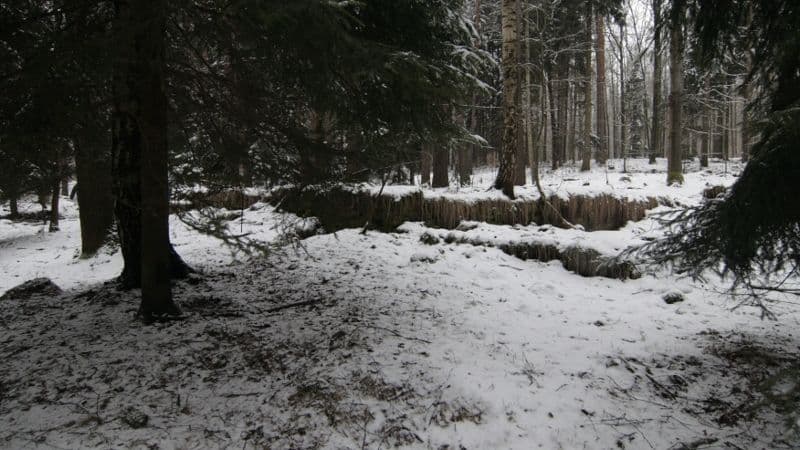 Die zugewachsenen Fundamente des Konzentrationslagers "Orion II" am Milchweg/Schwarzer Weg sind nur noch im Winter noch zu erkennen. Sonst erinnert vor Ort nichts an die Verbrechen nahe der Festung Königstein.