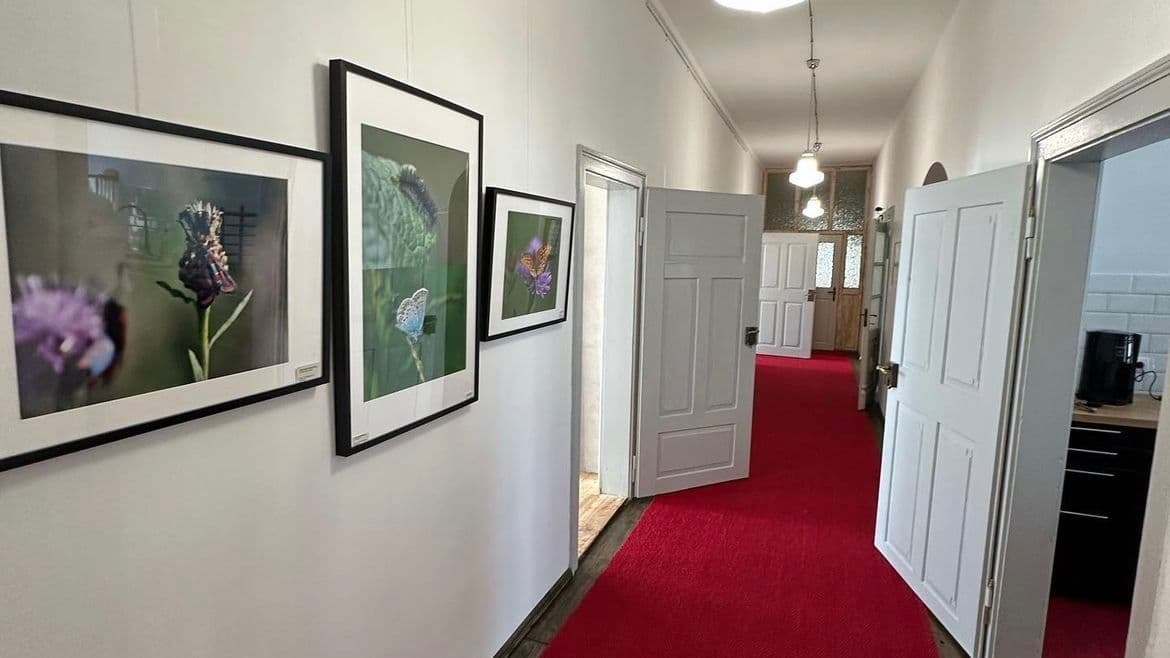 Die Ausstellungs- und Veranstaltungsräume der Antonshütte