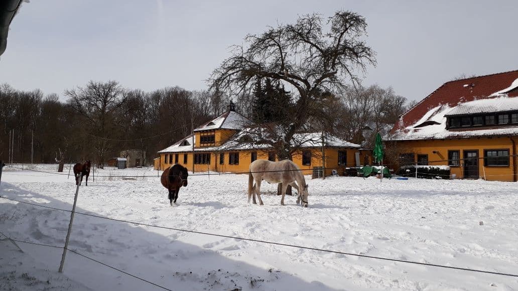 Schlobachshor im Winter