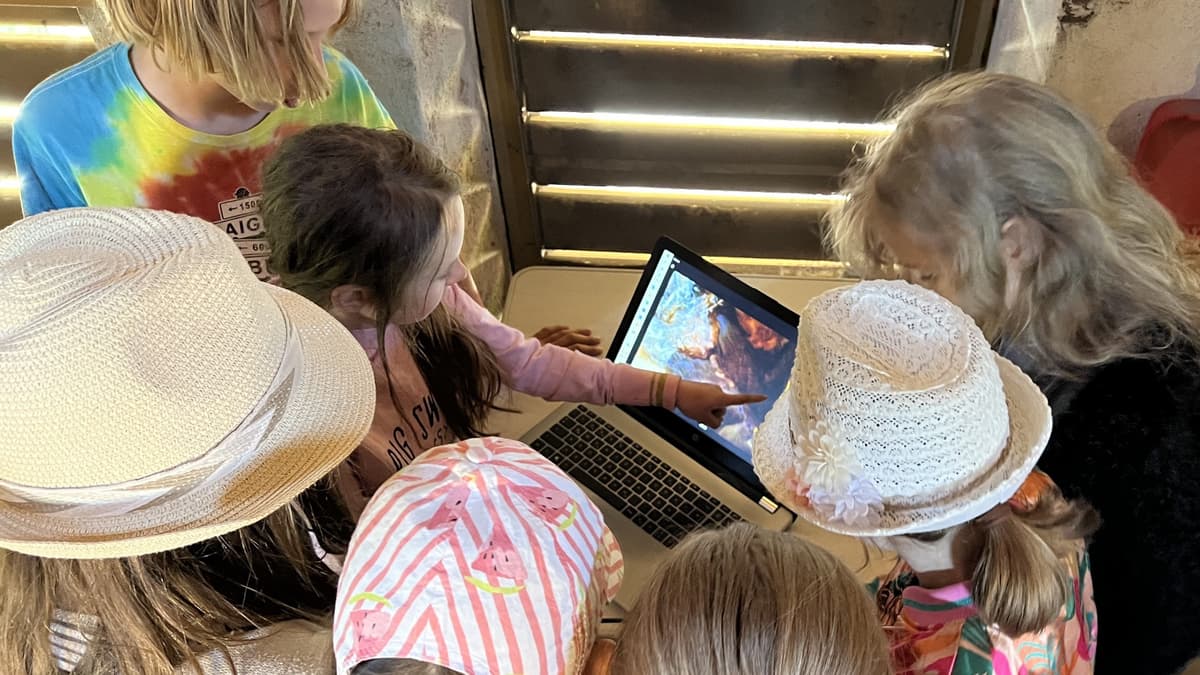 Grundschulkinder erforschen Dohlen im "Lebensraum Kirchturm"