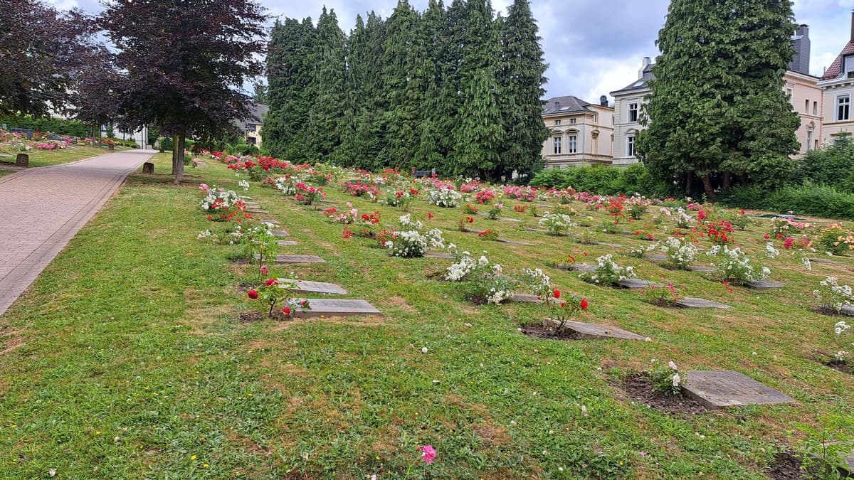 Rosenfriedhof