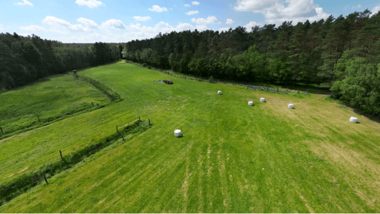 Luftbild des Speck-Grunds an der Hardauquelle