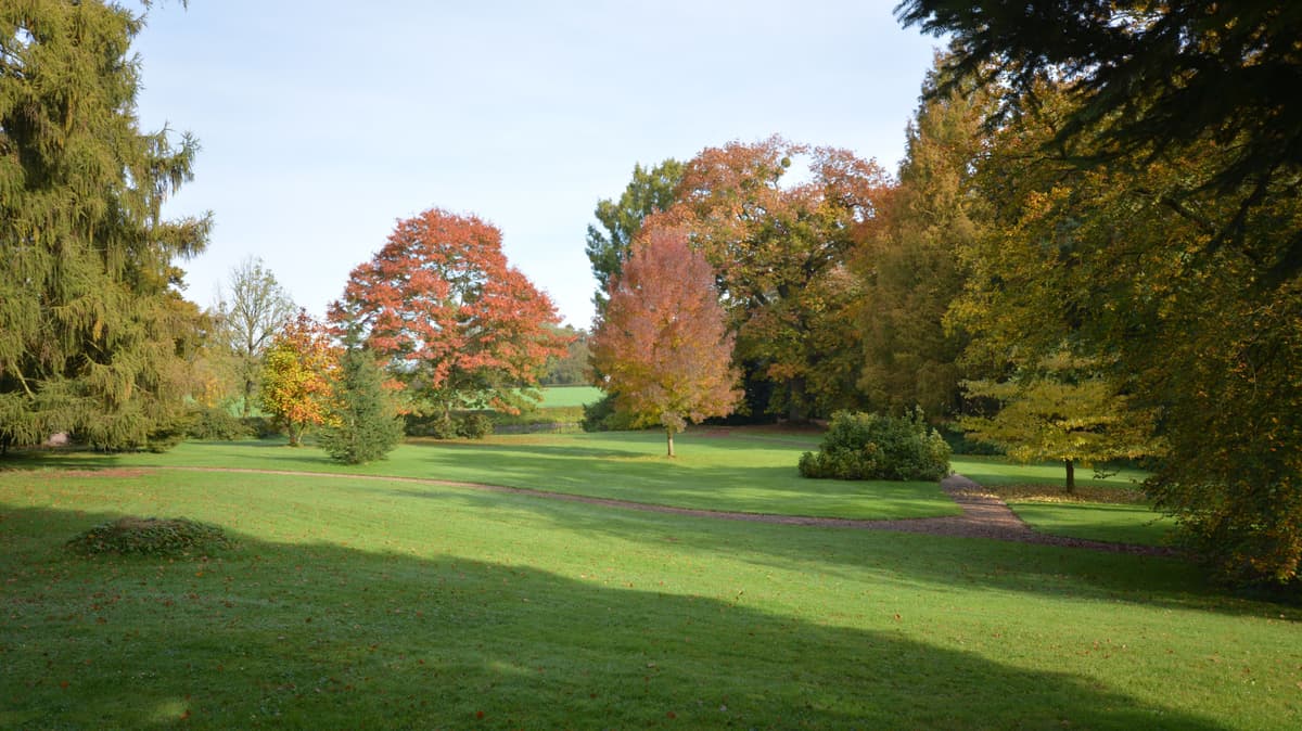 Blick in den Park