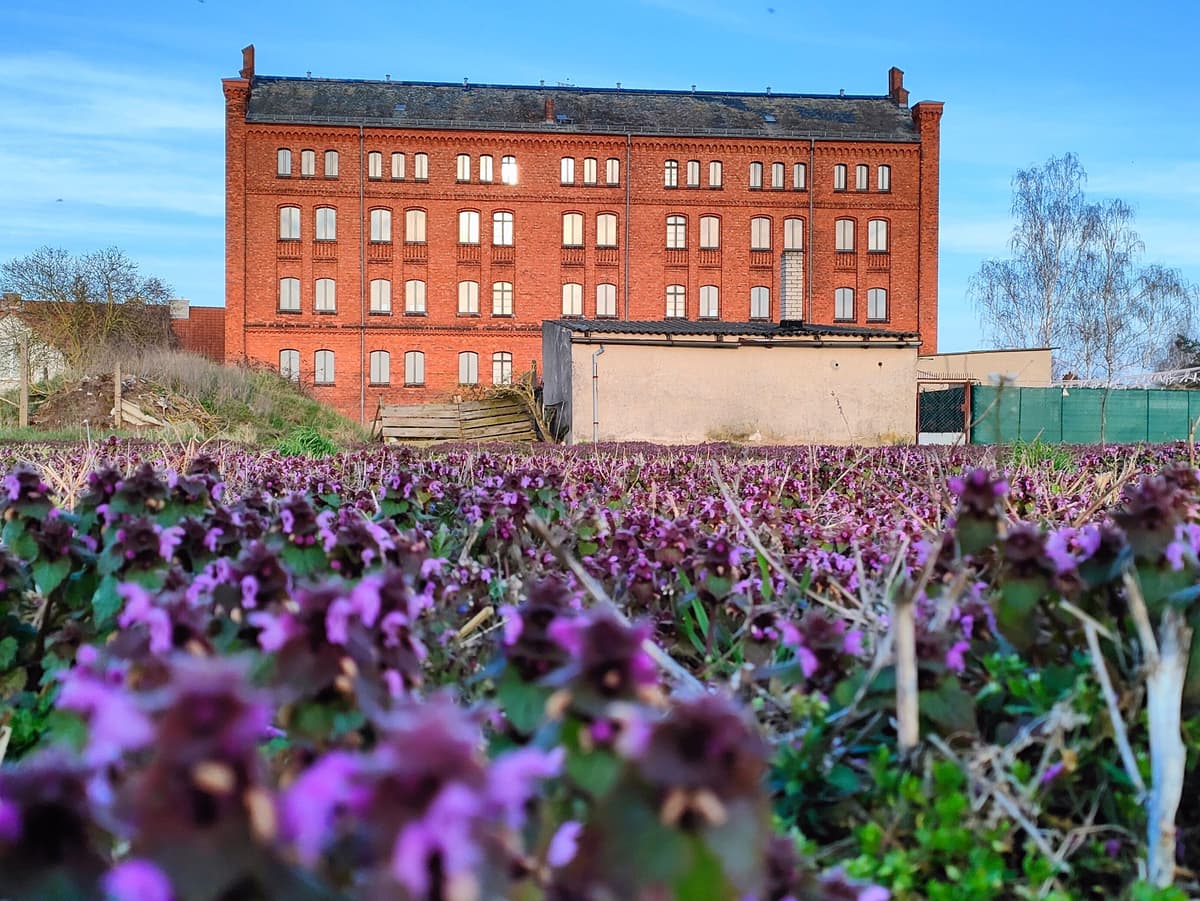 Tabakfabrik Vierraden