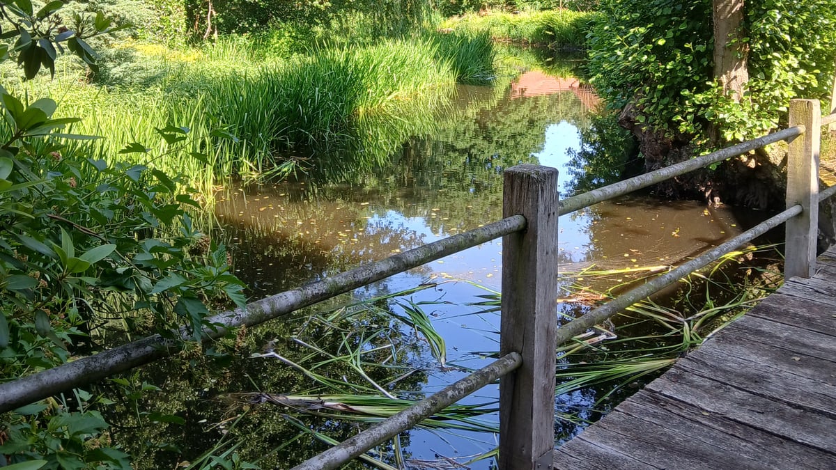 Fotoquelle: Christoph Schwiercz