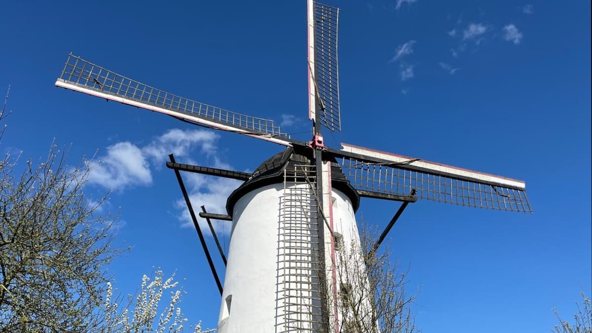 BraunsMühle
