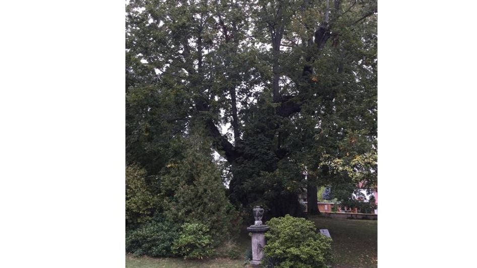 Fotoquelle: Steffi Rotsch