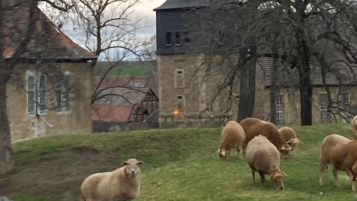 Kirche Liebstedt