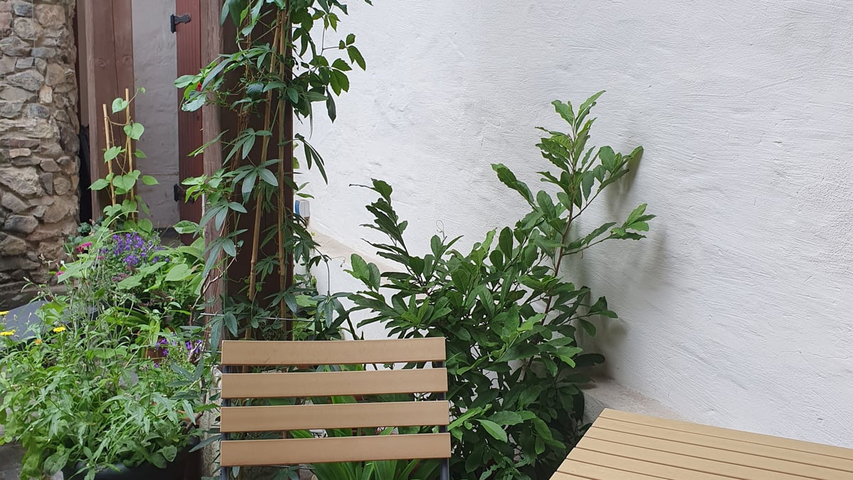 Fotoquelle: Stadt Plauen