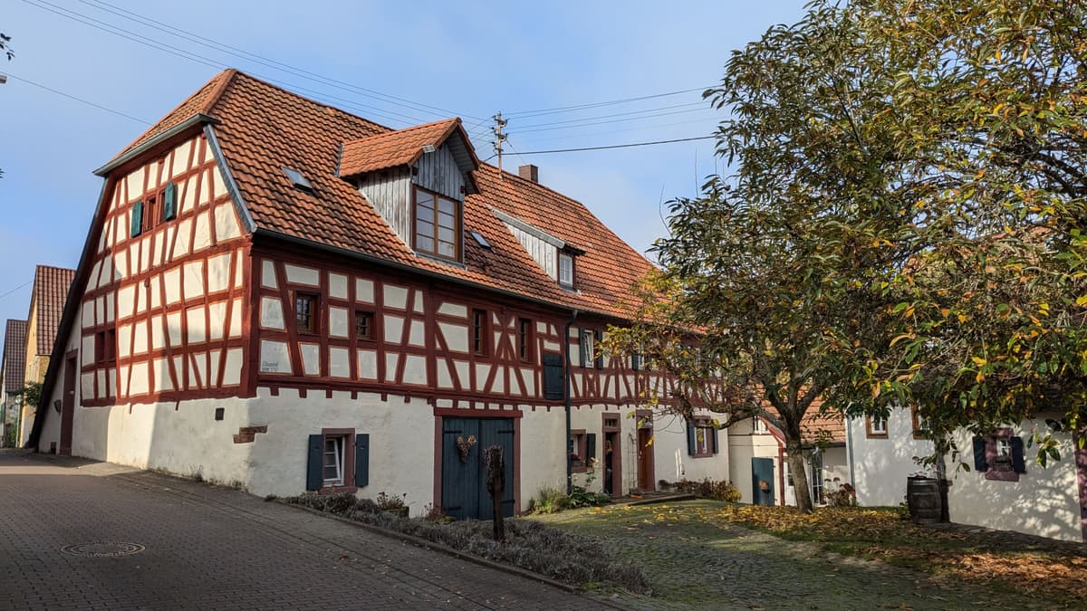 Adamshof