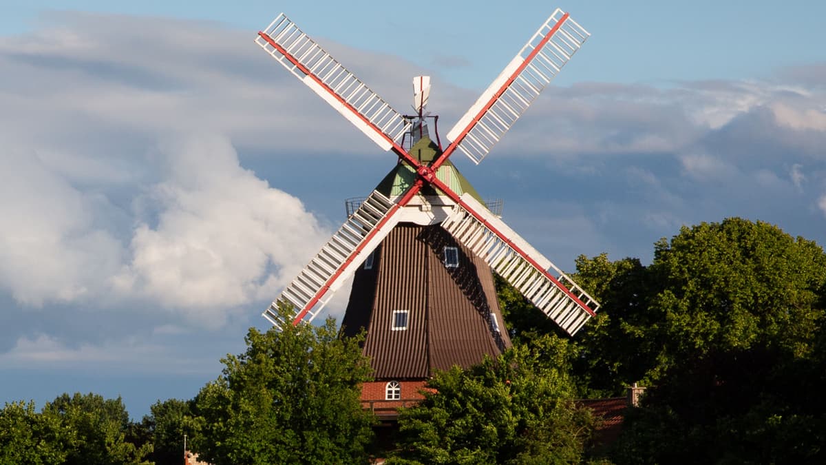 Windmühle Labbus 2025