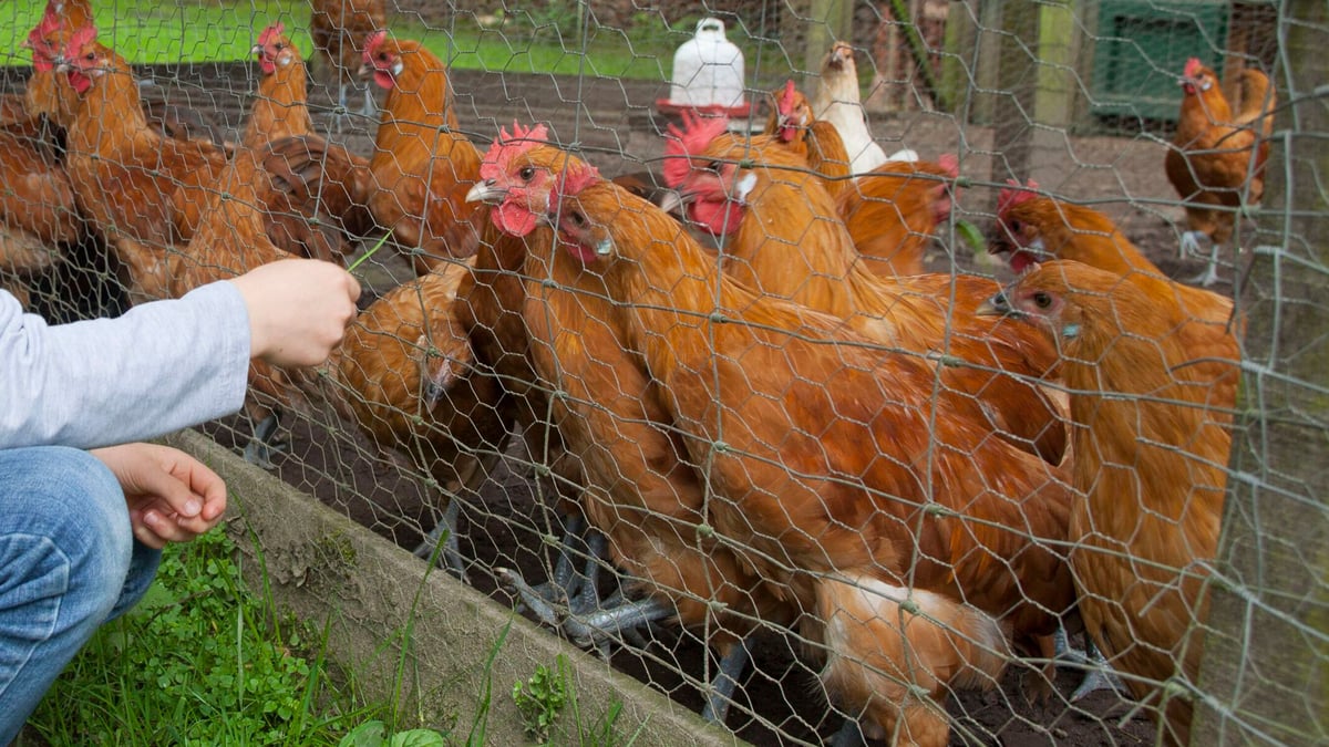 Fotoquelle: Freilichtmuseum am Kiekeberg